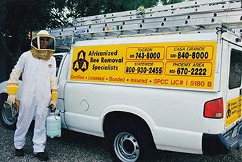 Vail bee removal service truck and employee